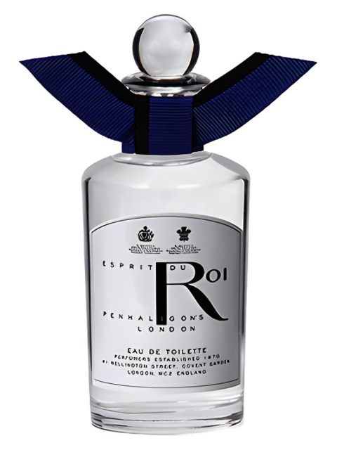 Esprit du Roi