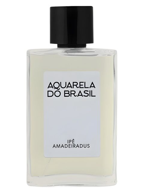 Ipê Amadeiradus
