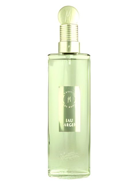 Suggestion Eau d'Argent 1994