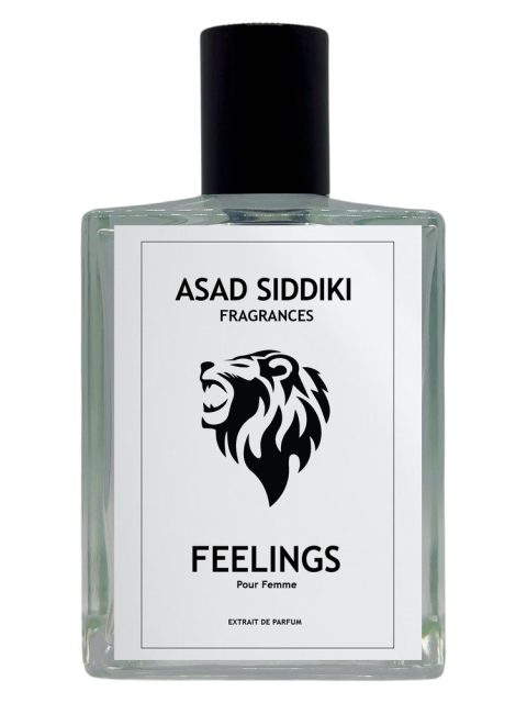 Feelings