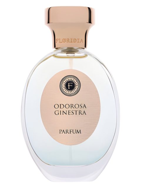 Odorosa Ginestra