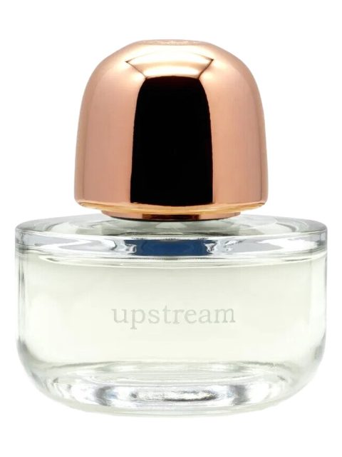 Upstream