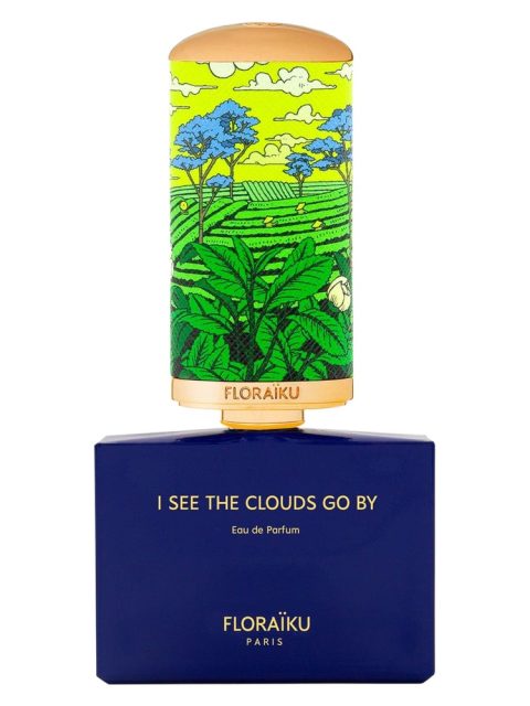 I See the Clouds Go By