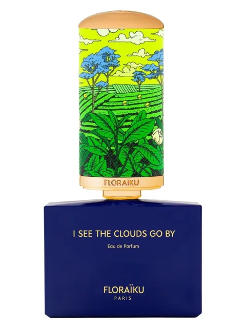 I See the Clouds Go By
