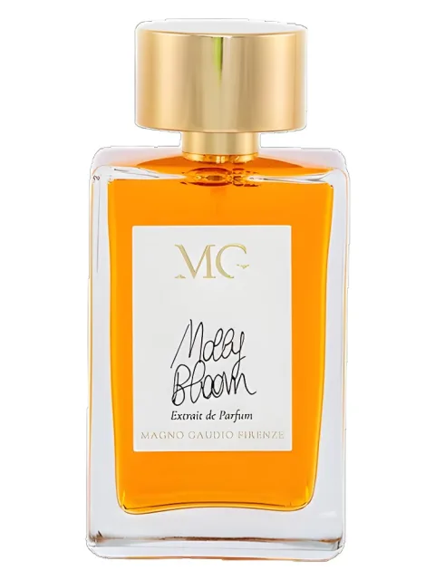 Molly Bloom