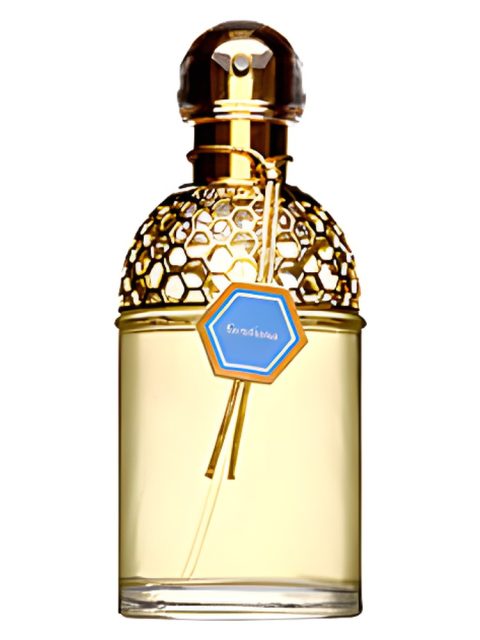 Aqua Allegoria Gentiana