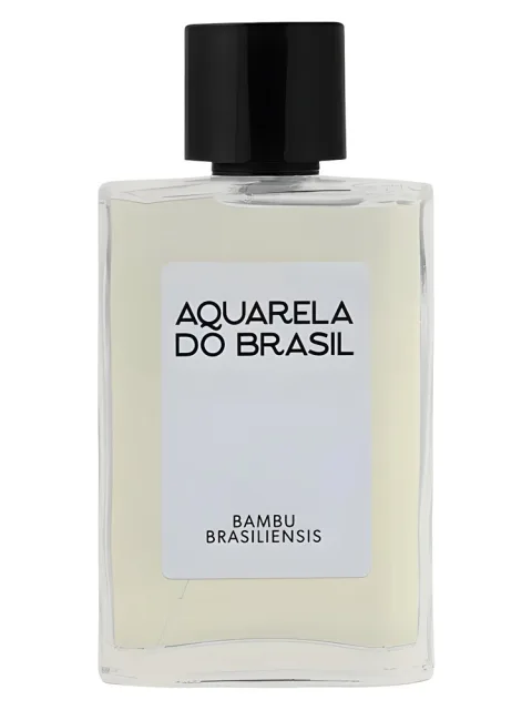 Bambu Brasiliensis