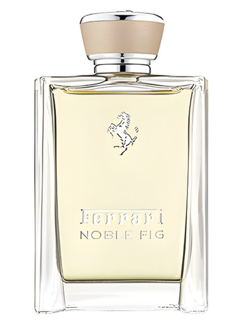 Noble Fig