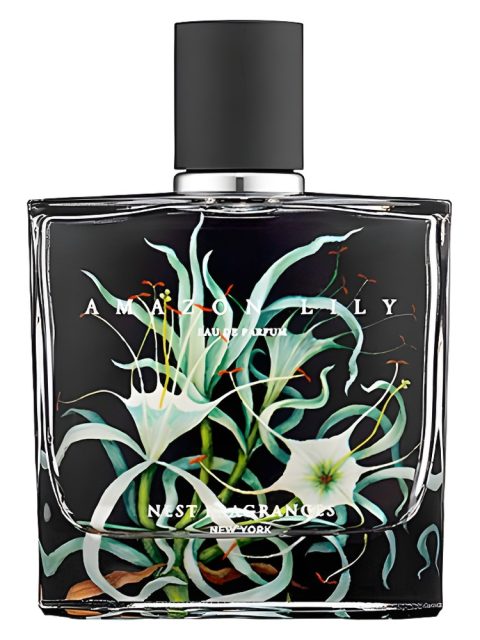 Amazon Lily