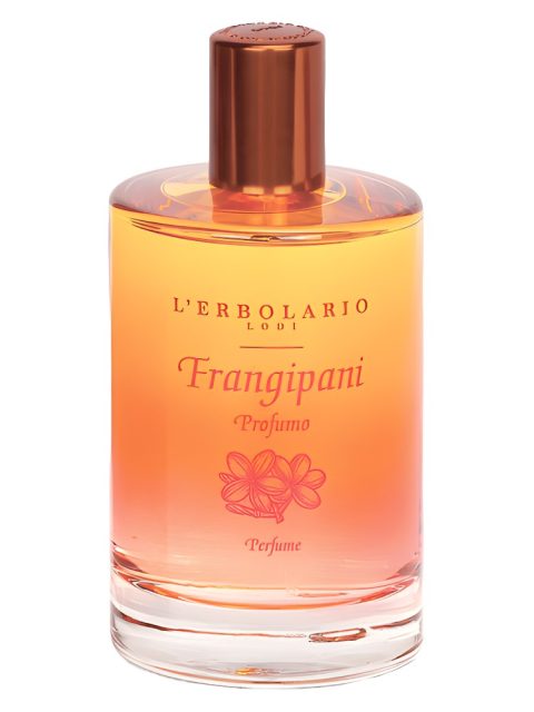 Frangipani
