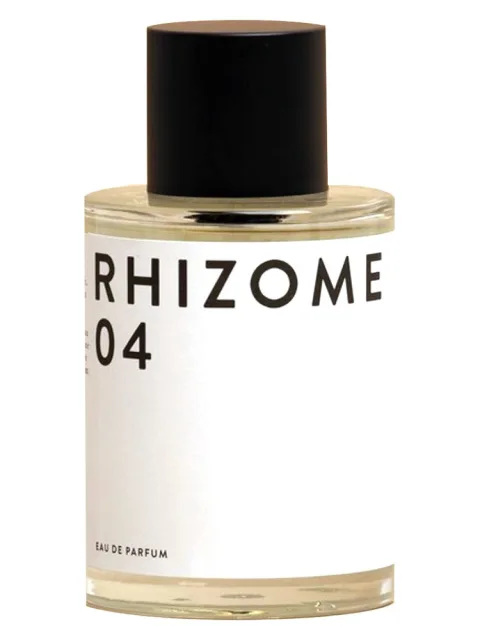 Rhizome 04