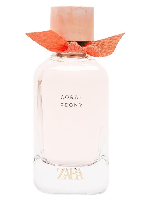 Coral Peony