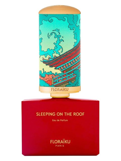 Sleeping on the Roof
