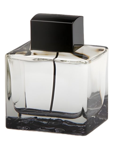Splash Seduction In Black