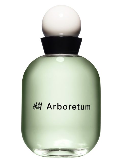 H&M Arboretum