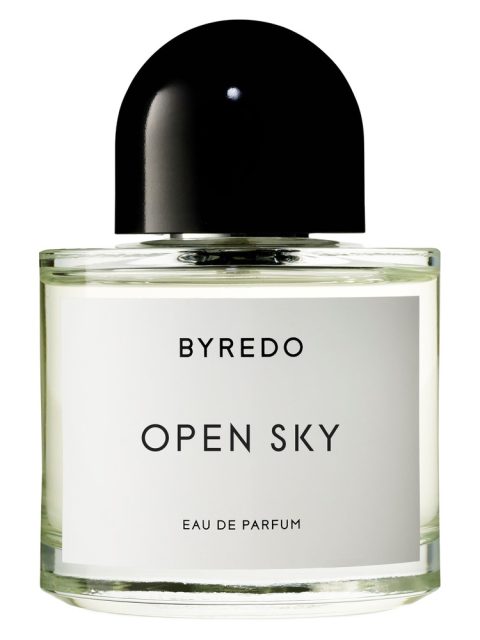 Open Sky