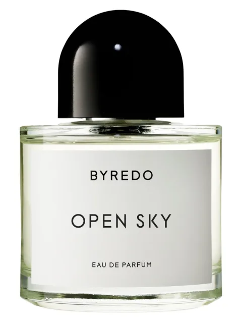 Open Sky