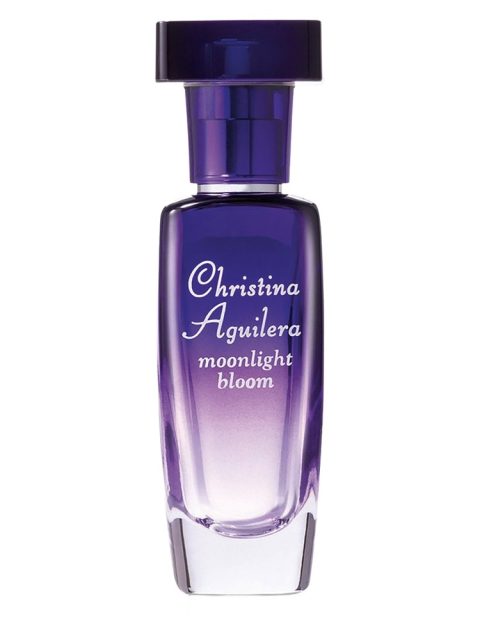 Moonlight Bloom