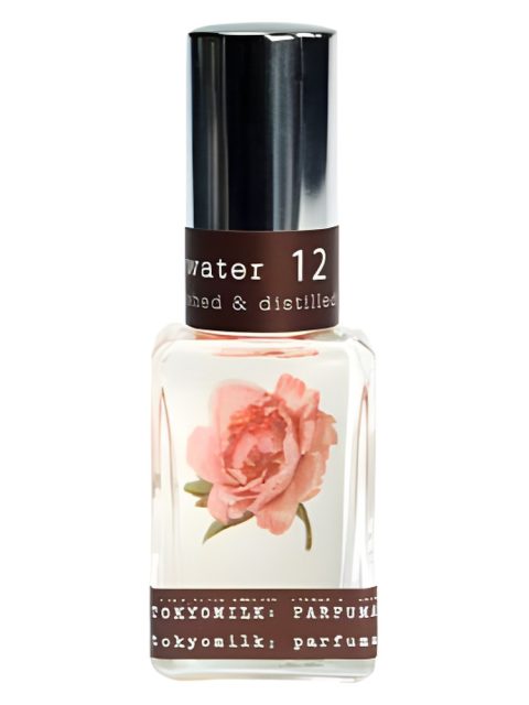 Gin & Rosewater