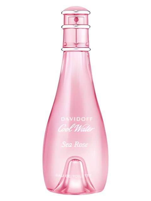 Cool Water Sea Rose