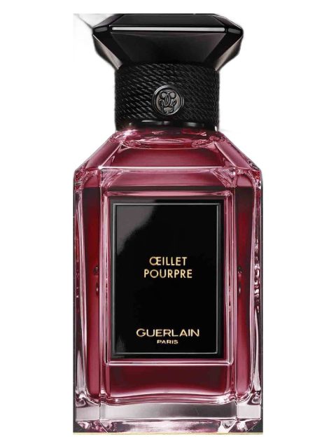 Oeillet Pourpre
