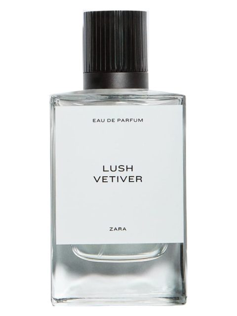 Lush Vetiver