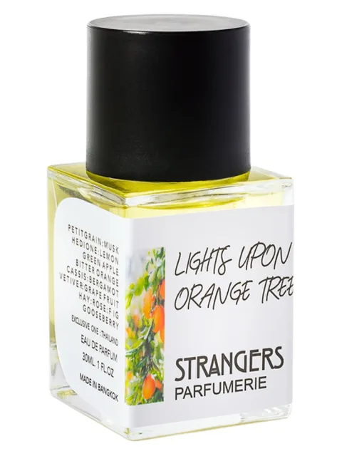 Lights Upon Orange Tree
