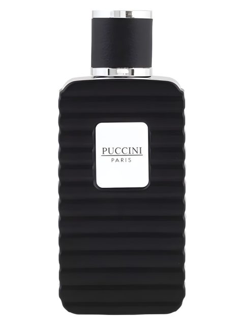 Puccini Men Black