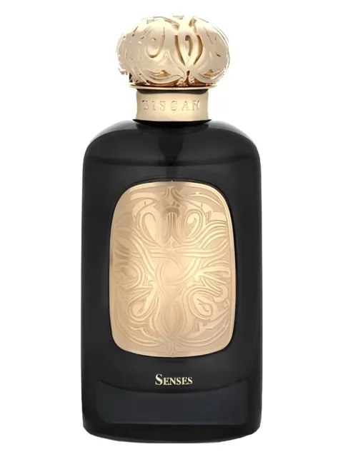 Senses