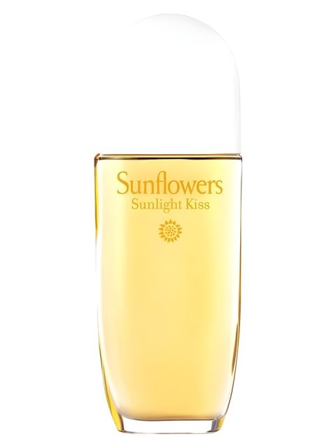 Sunflowers Sunlight Kiss