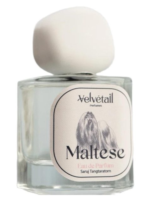 Maltese