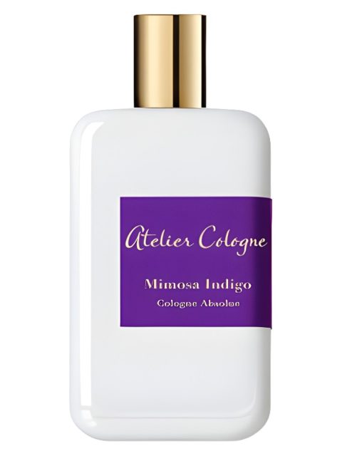 Mimosa Indigo