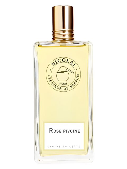 Rose Pivoine