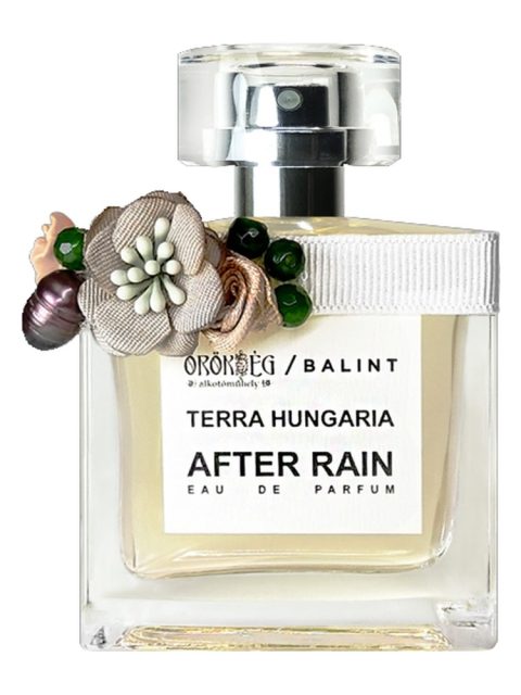 After Rain