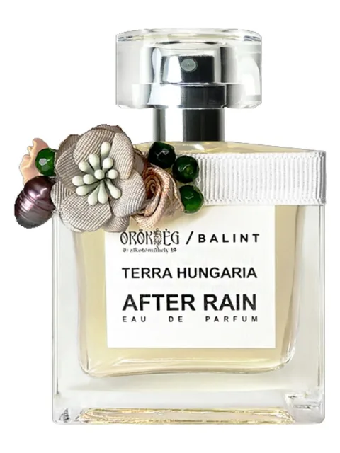 After Rain
