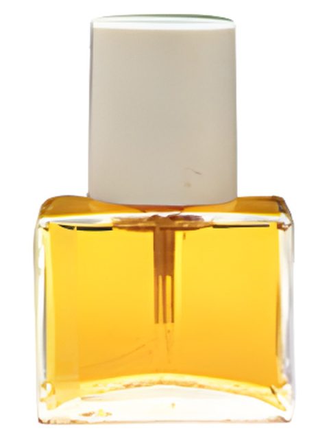 Jil Sander Woman II
