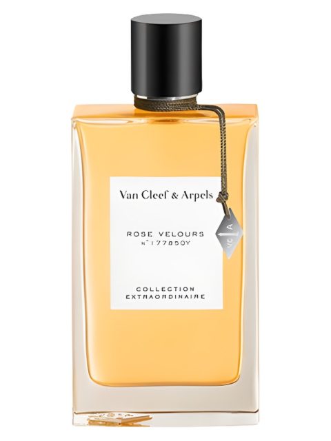 Rose Velours