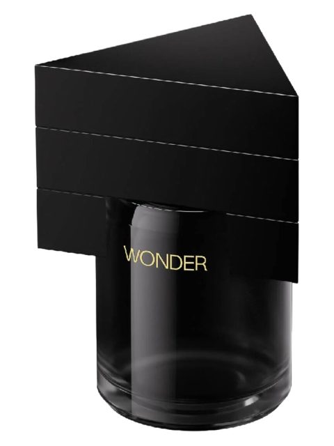 Wonder 羁旅归途