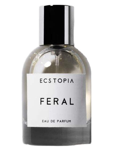 Feral