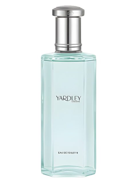 English Bluebell Contemporary Edition