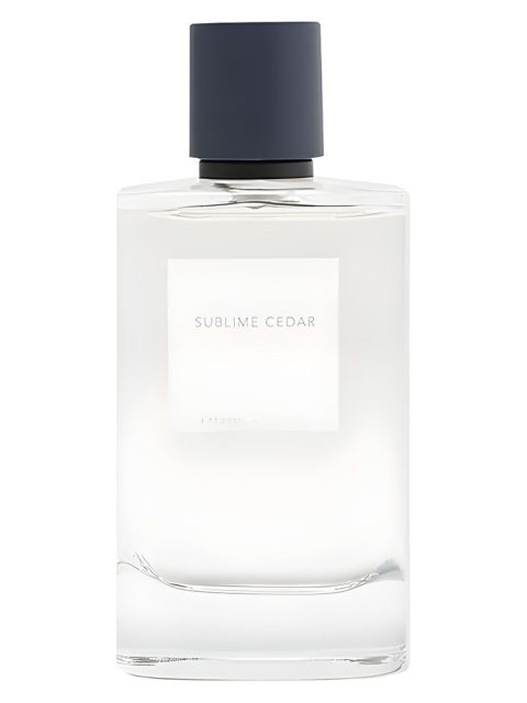Sublime Cedar