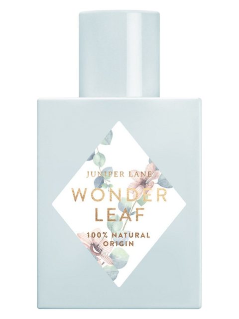Wonder Leaf