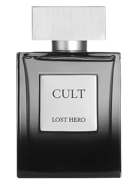 Lost Hero