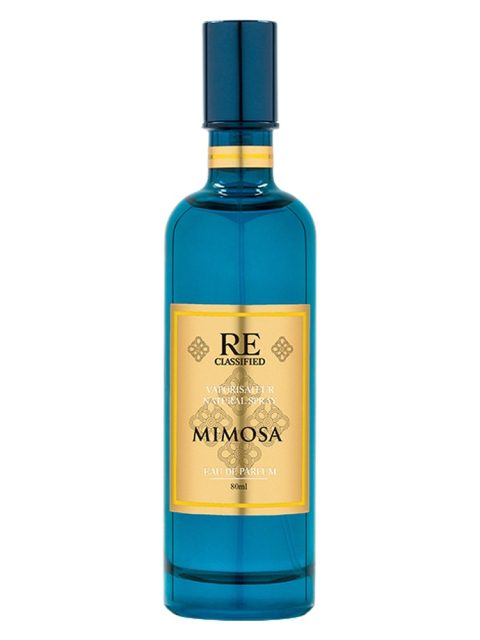 Mimosa 含羞草