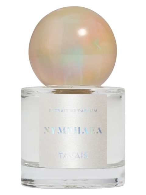 Nymphaea