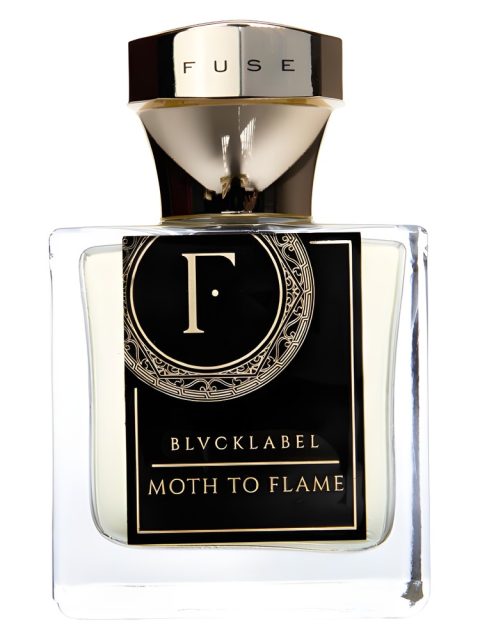 Moth To Flame