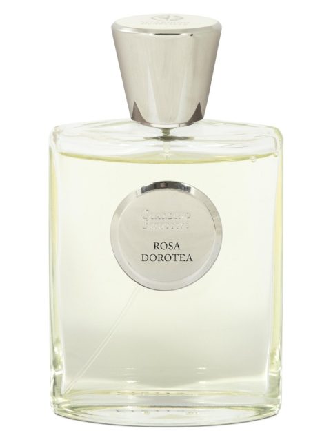Rosa Dorotea