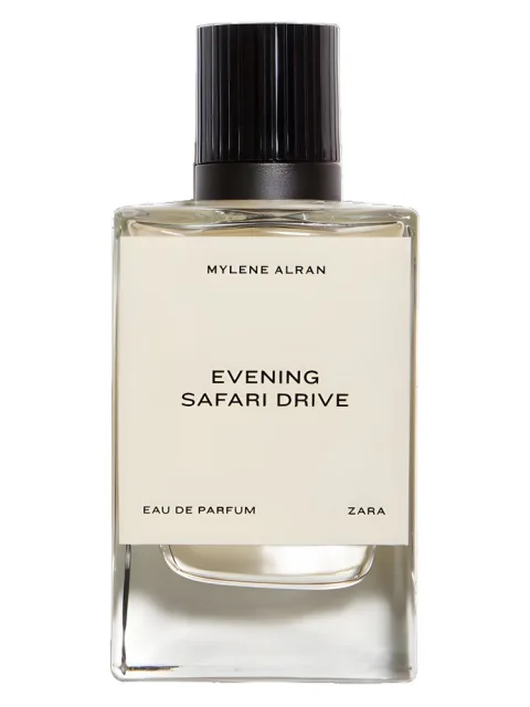 Evening Safari Drive