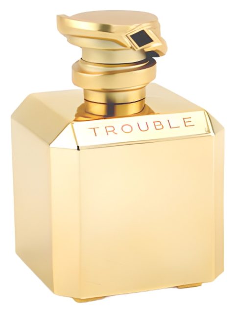 Trouble Joaillier