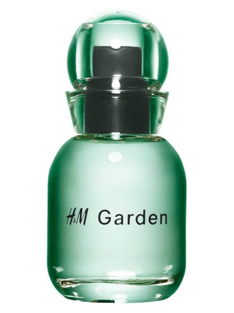 H&M Garden - Sunlit dew